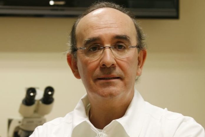 El Dr. Eduardo Anitua podría optar a un Premio Princesa de Asturias.