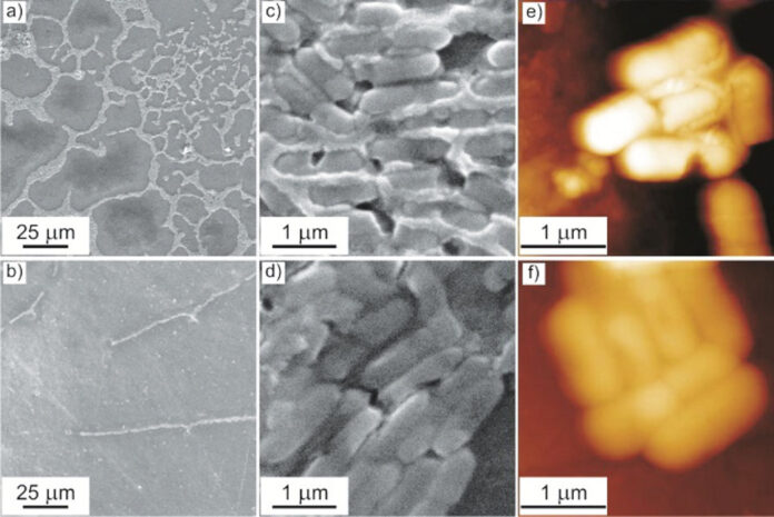 Materiales nanocompuestos