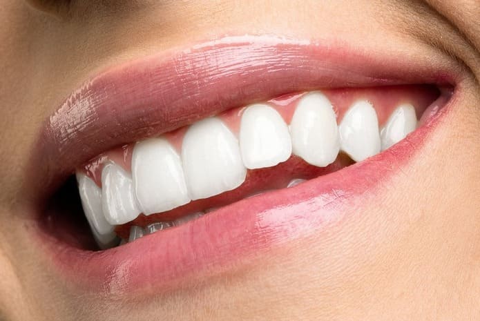 choque De trato fácil Tranquilidad Tipos de dientes y sus funciones - Gaceta Dental