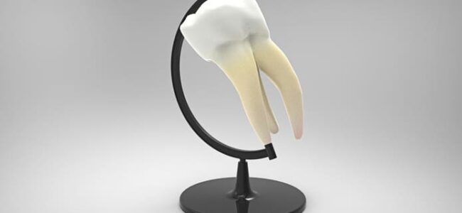 ¿Cuáles son las raíces de la odontología moderna?
