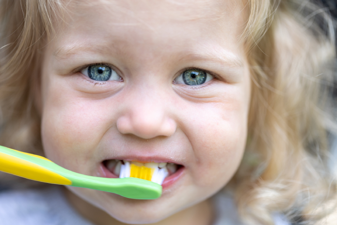Medio millar de dentistas voluntarios participan en la I Campaña de Salud Oral Infantil