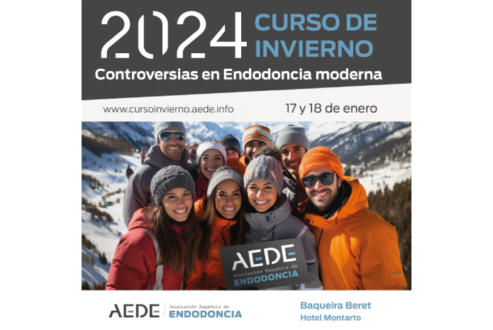 Curso de Invierno de AEDE 2024
