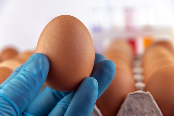 La membrana de huevo como biomaterial para la regeneración ósea