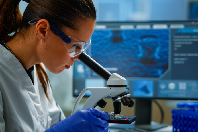 Programa Anual de Investigación 2024