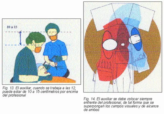 Posiciones Y Posturas De Trabajo Del Odontologo Y Del Auxiliar Gaceta Dental